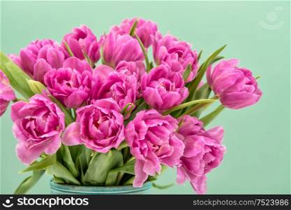 Spring tulip flowers over turquoise background