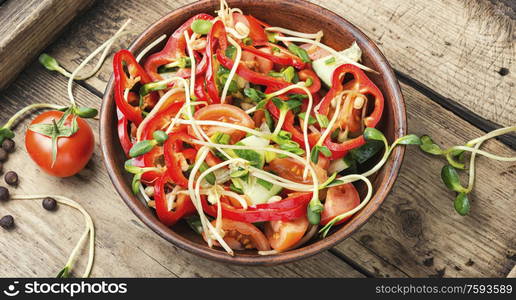 Spring vegetable salad with sunflower sprouts.Fresh vegetable salad on plate. Vitamin vegetable salad.