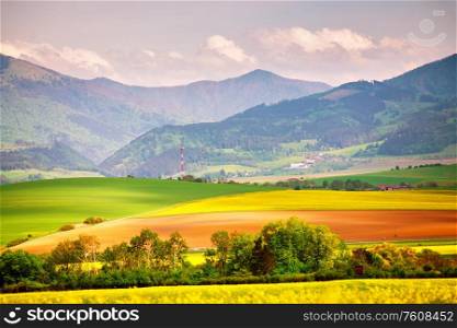 Spring yellow colza fields and green meadows in Tatras mountain valley. Slovakia rural scene. Blooming spring landscape.
