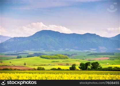 Spring yellow colza fields and green meadows in Tatras mountain valley. Slovakia rural scene. Blooming spring landscape.