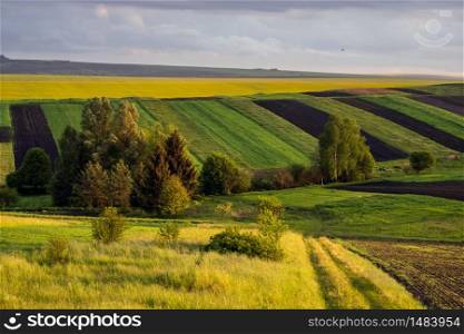 Spring yellow flowering rapeseed and small farmlands fields, cloudy evening sky and green hills. Natural seasonal, eco, farming, rural countryside beauty concept background.
