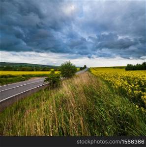 Spring yellow flowering rapeseed fields, regional road, dramatic cloudy thunderstorm rainy sky and countryside hills. Natural seasonal, climate, farming, rural beauty concept.