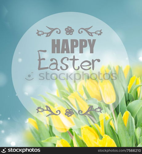 spring yellow tulips in garden on blue bokeh background with happy Easter greeting. spring narcissus garden