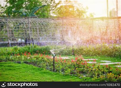 Springer water / green field and flower with springer garden on summer and sunset background
