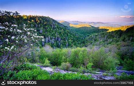Springtime at Scenic Blue Ridge Parkway Appalachians Smoky Mountains