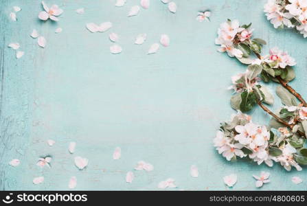 Springtime background with beautiful spring blossom in pastel color, top view, frame