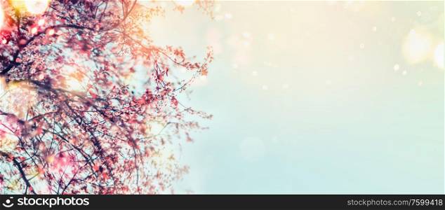 Springtime background with cherry blossom at sky with bokeh and sunlight . Outdoor. Spring nature background. Banner