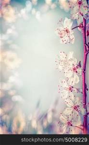 Springtime blossom with cherry or sakura, spring nature frame