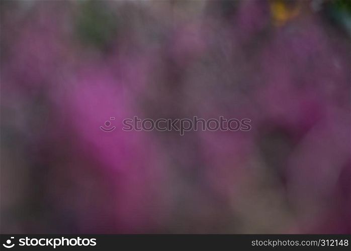 springtime floral blured bloom background with pastel color. springtime floral blured bloom background pastel color