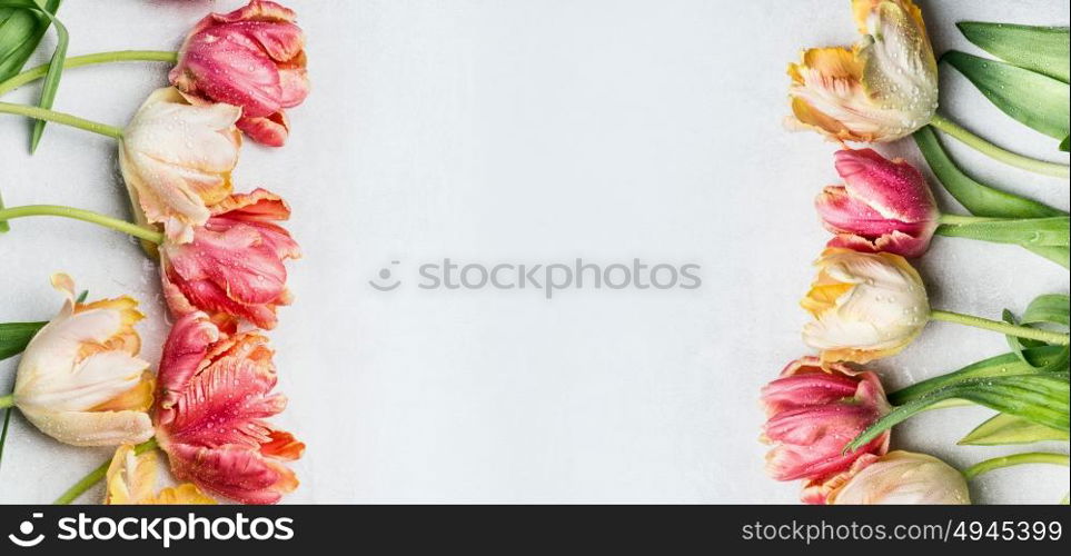 Springtime floral border mit colorful tulips, floral banner, top view. Spring flowers concept