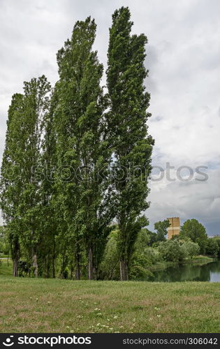 Springtime green on a beauty poplar or Populus and lake in residential district Drujba, Sofia, Bulgaria