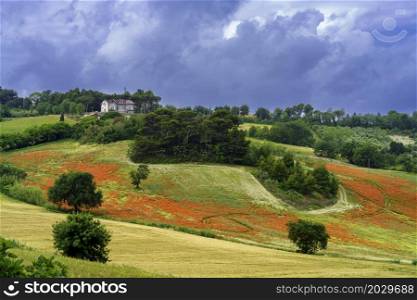 Springtime landscape of the Conero, near Ancona, Marche, Italy