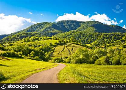 Springtime landscape on Plesivica hills, Zumberak, Croatia