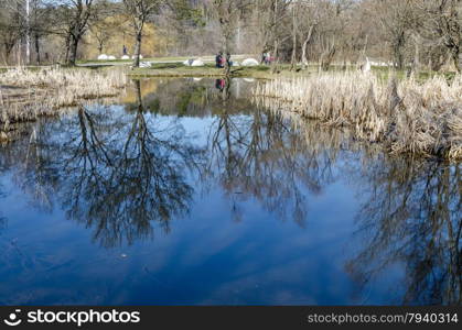 Springtime landscape with reflection in South park, Sofia, Bulgaria