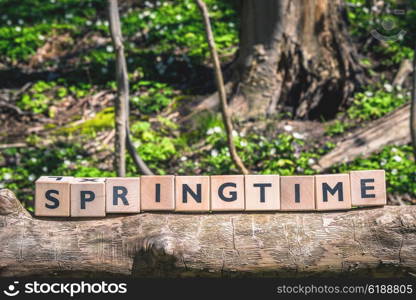 Springtime message in a forest in the spring