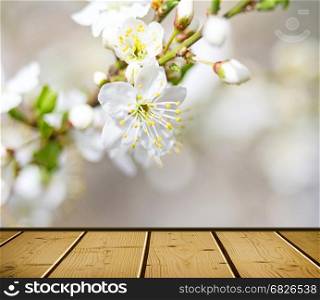 Springtime. Soft focus image of spring flowers blossom in sunny day. Beautiful nature scene with blooming tree and sun flare. Sunny day. Beautiful Orchard background.. old plaster