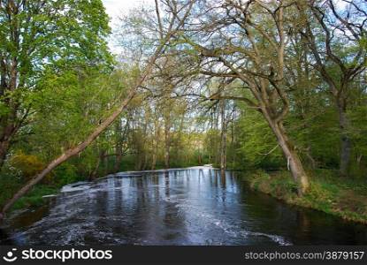 Springtime view with green fresh leaves at the river Hossmoan in Sweden