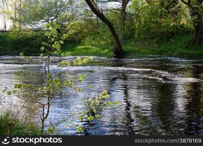 Springtime view with green fresh leaves at the river Hossmoan in Sweden