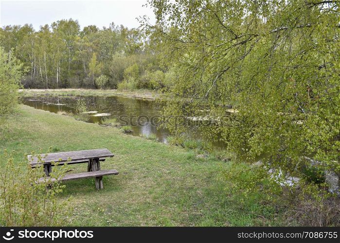Springtime view with wooden furnitures by a pond in a swedish nature reserve at the island Oland