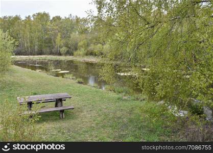 Springtime view with wooden furnitures by a pond in a swedish nature reserve at the island Oland