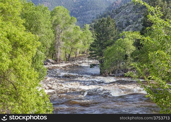 Springtime whitewater of Cache la Poudre River near Fort Collins, Colorado