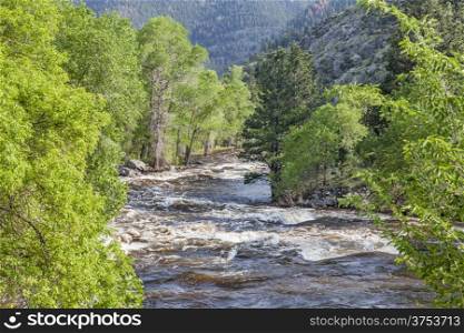 Springtime whitewater of Cache la Poudre River near Fort Collins, Colorado