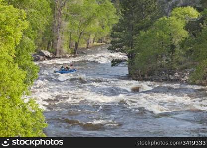 Springtime whitewater of Cache la Poudre River near Fort Collins, Colorado with a kayak in the middle of a rapid