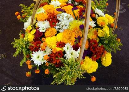 Springtime with spring flowers, harmony flower basket to decorate in home on Vietnam Tet holiday with vibrant color, closeup of colourful flora on brown background