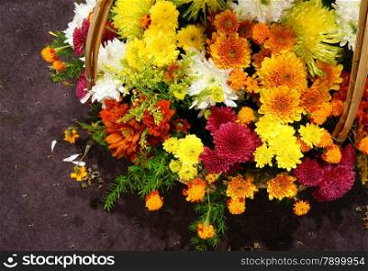 Springtime with spring flowers, harmony flower basket to decorate in home on Vietnam Tet holiday with vibrant color, closeup of colourful flora on brown background