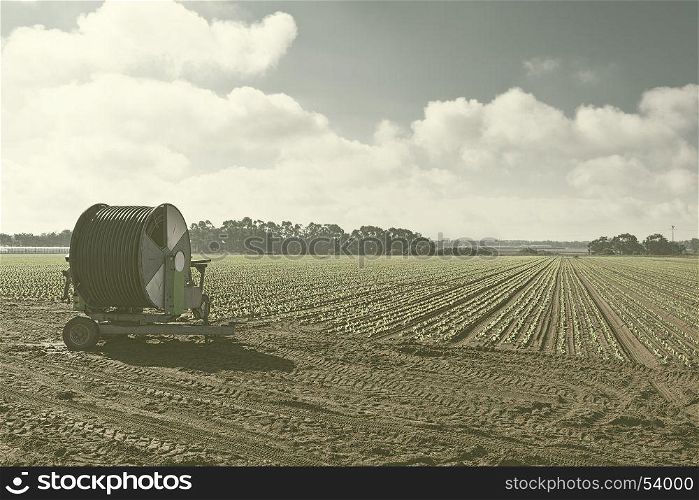 Sprinkler Irrigation on a Field in Portugal, Stylized Photo