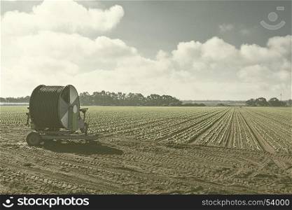 Sprinkler Irrigation on a Field in Portugal, Stylized Photo
