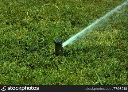 Sprinkler spraying water on a green lawn
