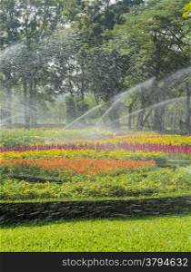 Sprinkler watering the flower bed in the park