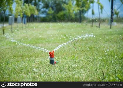 Sprinkler watering the green grass. Sunny summer day