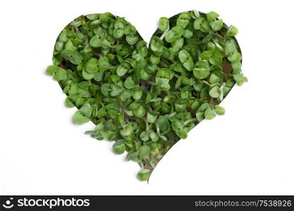 Sprout green plants growing a heart shape isolated on white background. Sprout green plants a heart shape