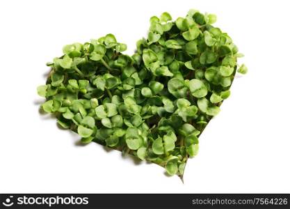 Sprout green plants growing a heart shape isolated on white background. Sprout green plants heart