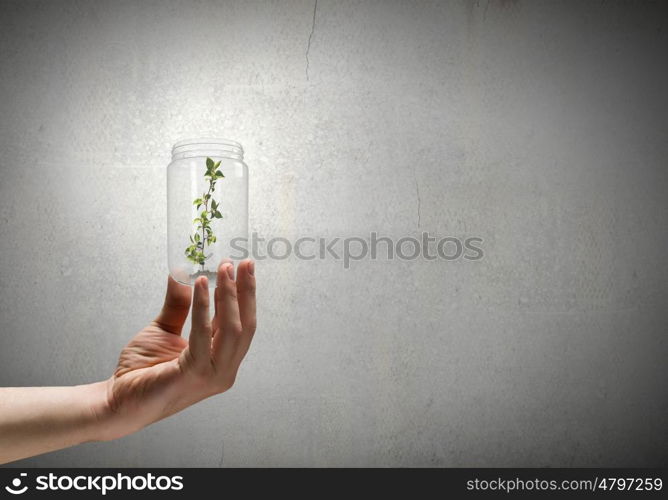 Sprout in hand. Close up of human hand holding sprout