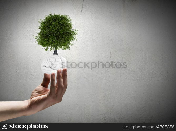 Sprout in hand. Close up of human hand holding sprout