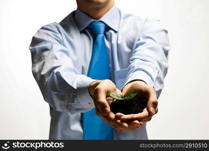 Sprout in hands