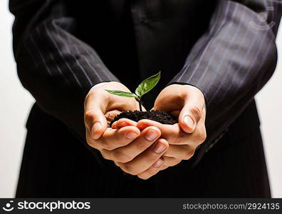 Sprout in hands