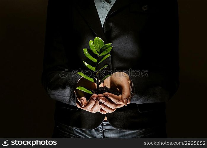 Sprout in hands