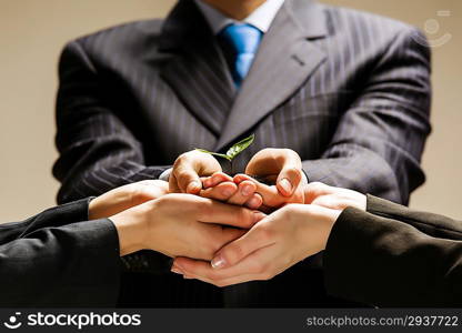 Sprout in hands