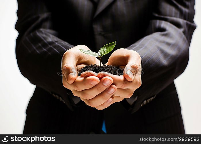 Sprout in hands