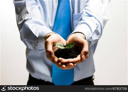 Sprout in hands
