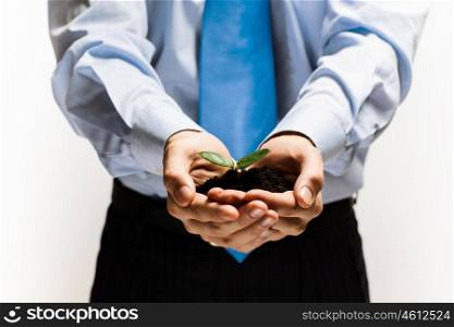 Sprout in hands. Close up of businessman hands with sprout in palms