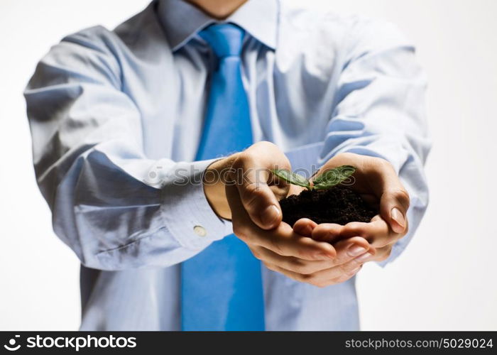 Sprout in hands. Close up of businessman hands with sprout in palms