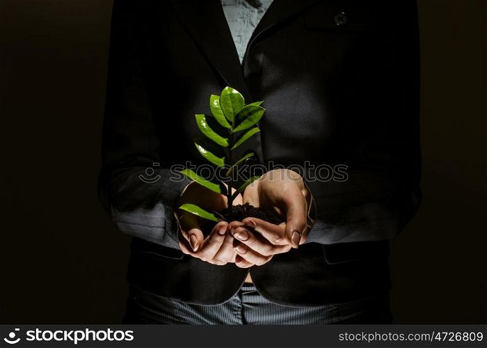 Sprout in hands. Close up of businesswoman hands with sprout in palms