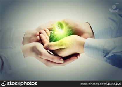 Sprout in hands. Young green sprout in human hands. Ecology concept