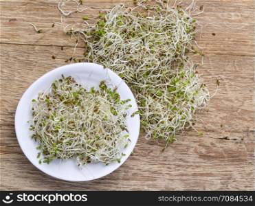 sprouted seeds in a ceramic bowl on the wooden table