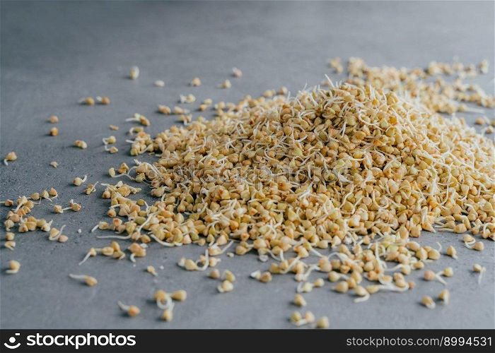 Sprouts of green buckwheat on grey background. Sprouted seeds. Vegetarianism. Heap of raw germinated products. Food for fitness, sport, dieting